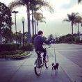 /album/james-maslow/james-riding-a-bike-and-walking-fox-jpg/